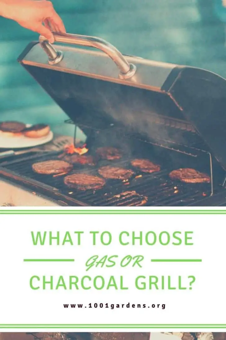 What To Choose: Gas Or Charcoal Grill? 2 - Fire Pits & Grills